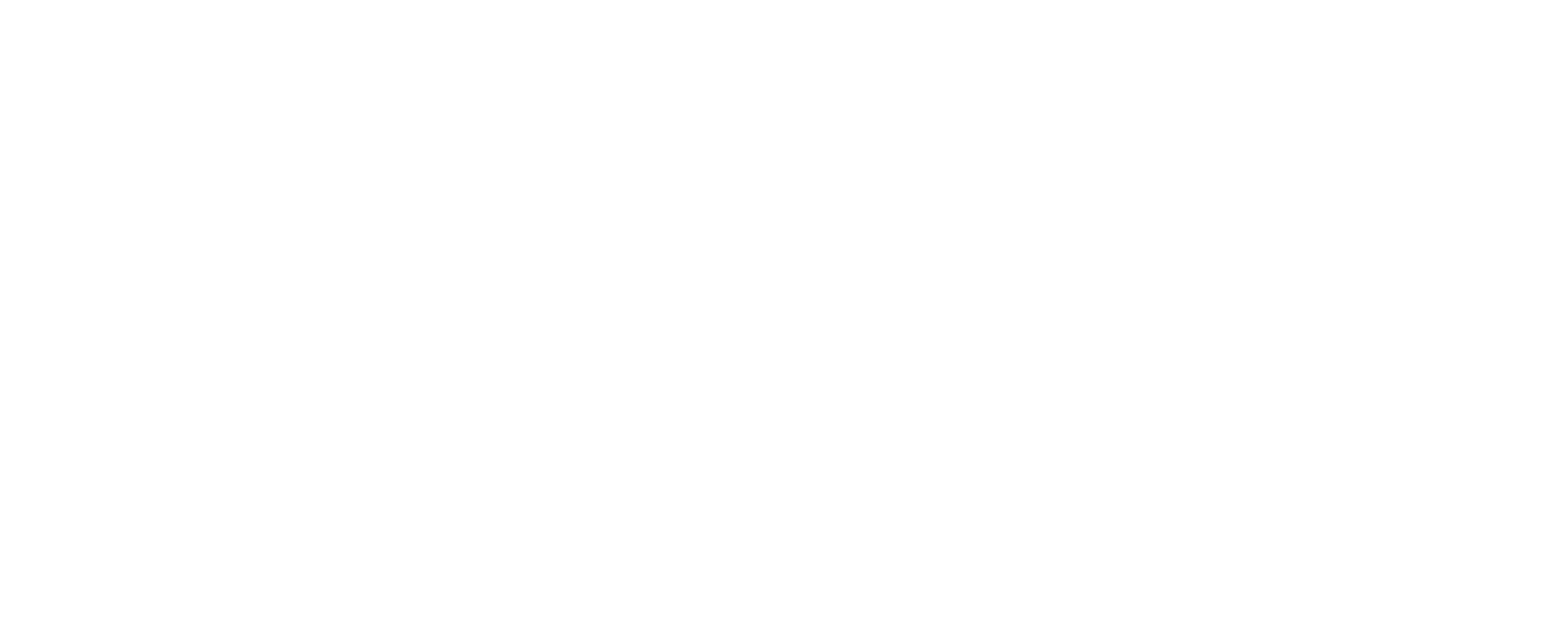 AV Group